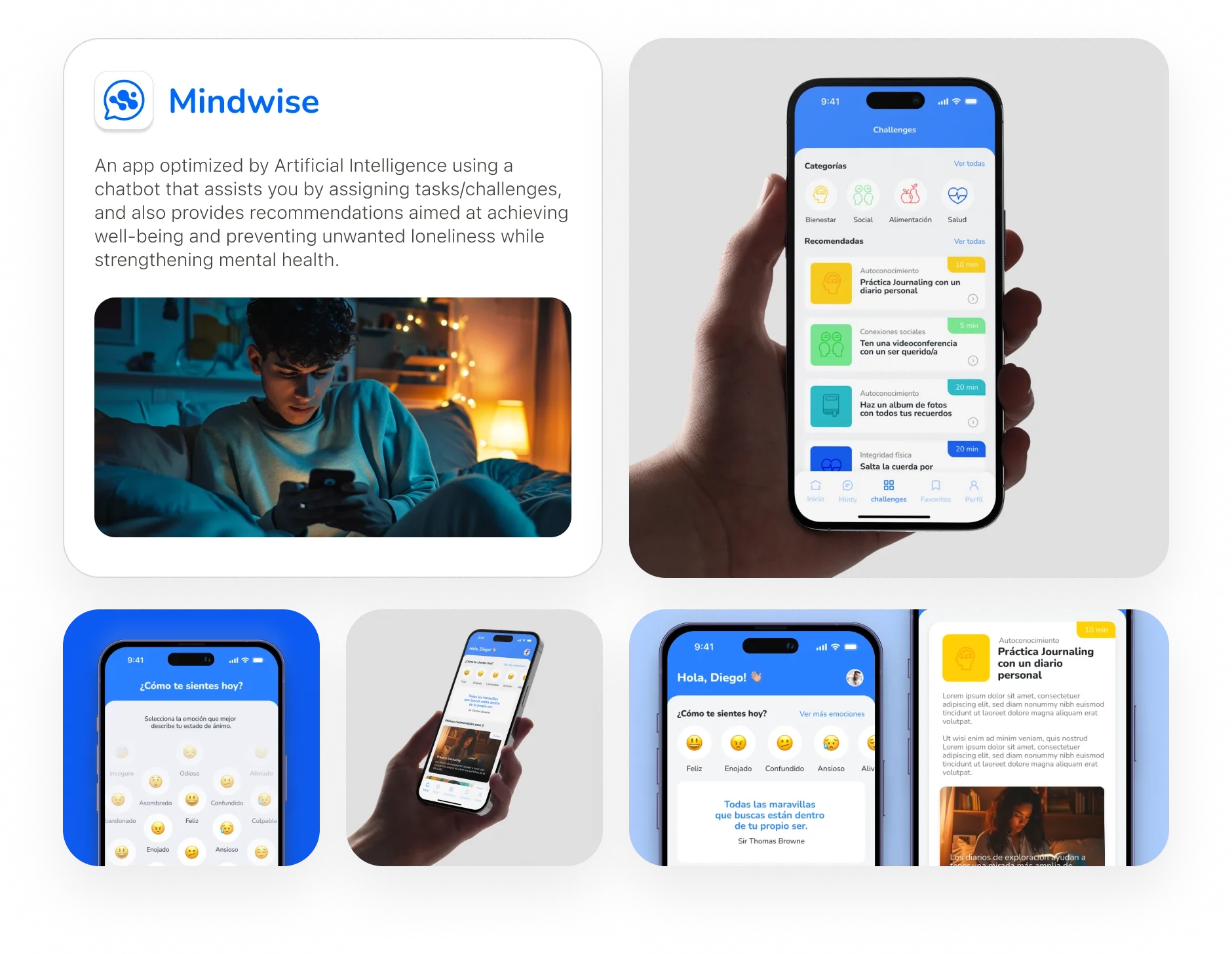 MindWise research or interface artifact 1